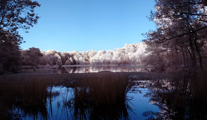 Foto 2 der Bikemap-Route "Avondrit op pad met de camera part 2" Foto 2 der Bikemap-Route "Avondrit op pad met de camera part 2"