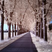 Avondrit op pad met de camera part 2