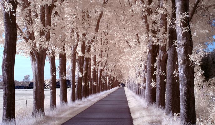 Foto 1 der Bikemap-Route "Avondrit op pad met de camera part 2" Foto 1 der Bikemap-Route "Avondrit op pad met de camera part 2"