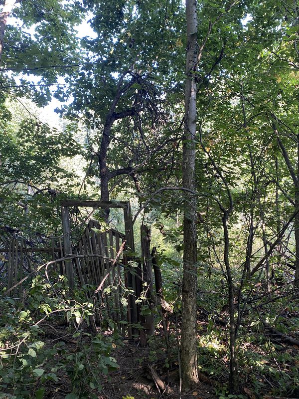 проспект Королёва, 2 с1, Королёв до улица Коминтерна, 16, Королёв