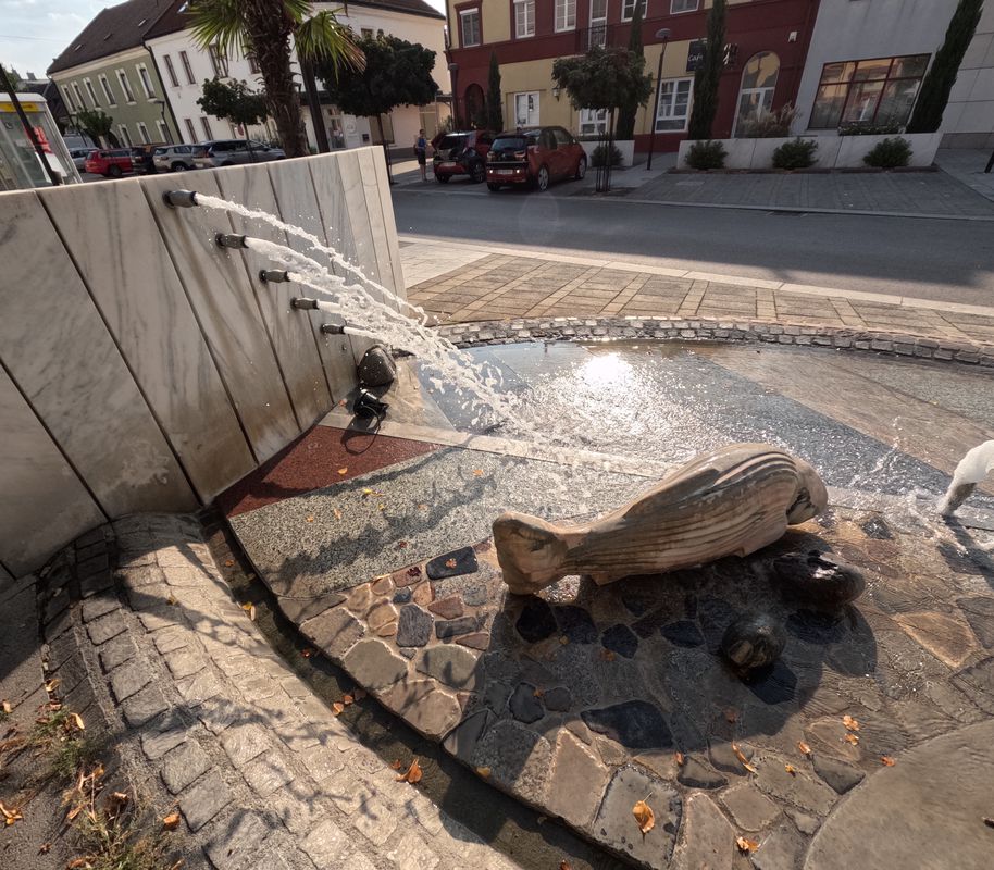 Parkteich Schwechat –  Mannswörth Runde von Moosbrunn. 🚴‍♂️🚴