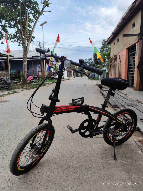 Roda Pedal