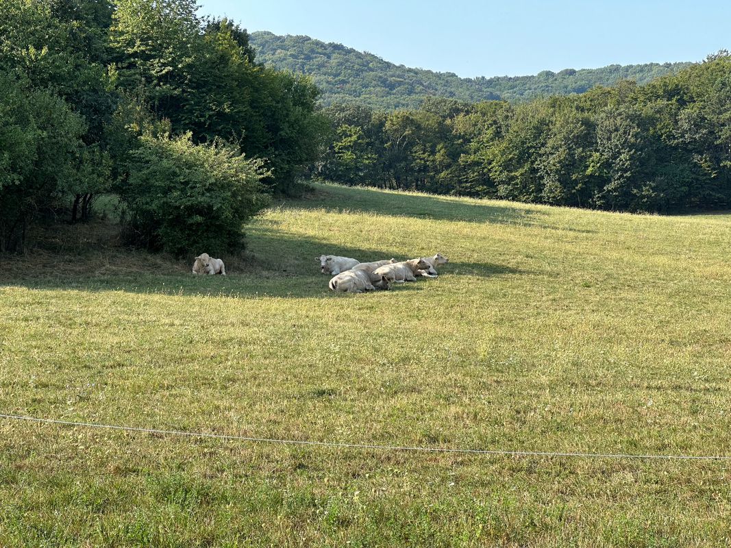 malý okruh Jablonica