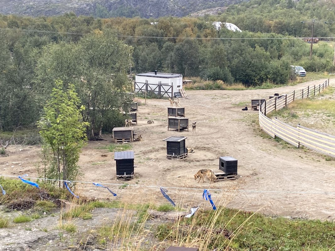 Kirkenes, Stadtrundfahrt mit dem Ende am Snowhotel