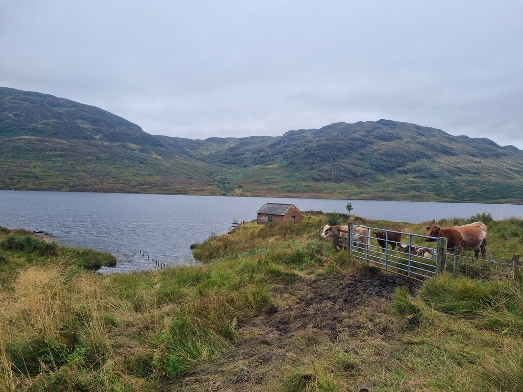 Tag 49: The Trossachs National Park
