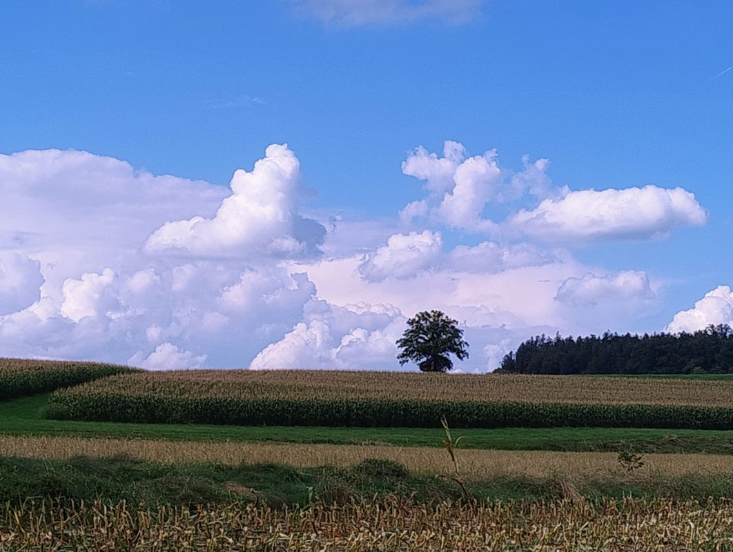 RadlerTreff 38km Bodnegg (vorbereitung für Freitag)