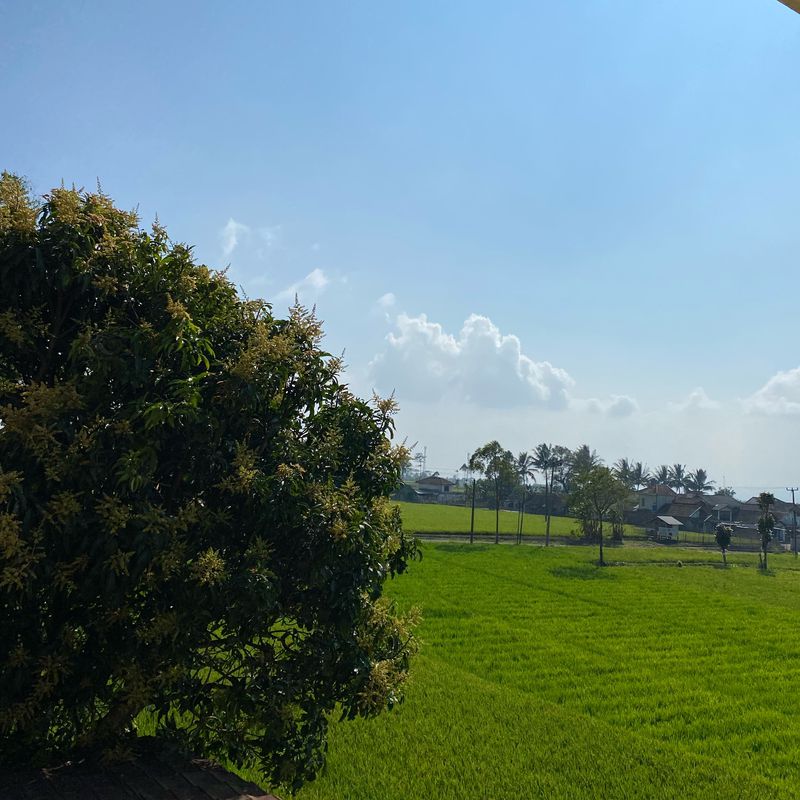 Puncak Parabon – Mekarjaya, Bayongbong
