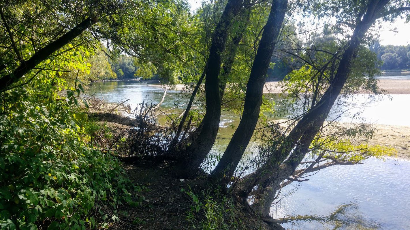 Barcs - Kastályosdombó -  Sellye