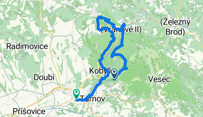Zrcadlová koza_Turnov