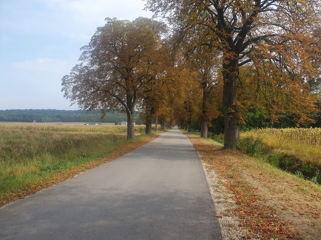 dc-stockerau-seebarn-dc