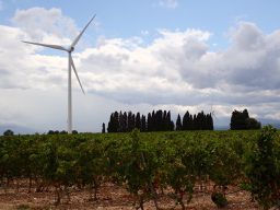 Durban-Corbières to Perpignan