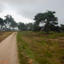 Ochtendrit andere route naar Strabrechtse heide