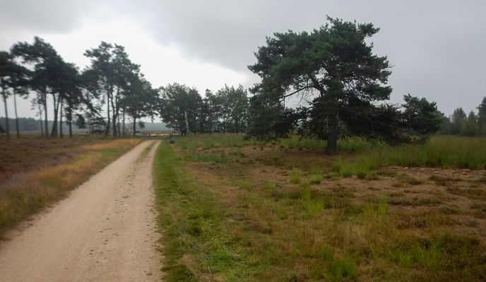 Foto 1 del percorso Bikemap "Ochtendrit andere route naar Strabrechtse heide" Foto 1 del percorso Bikemap "Ochtendrit andere route naar Strabrechtse heide"