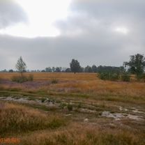 Foto 8 del percorso Bikemap "Ochtendrit andere route naar Strabrechtse heide" Foto 8 del percorso Bikemap "Ochtendrit andere route naar Strabrechtse heide"