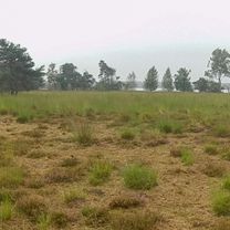 Foto 7 del percorso Bikemap "Ochtendrit andere route naar Strabrechtse heide" Foto 7 del percorso Bikemap "Ochtendrit andere route naar Strabrechtse heide"