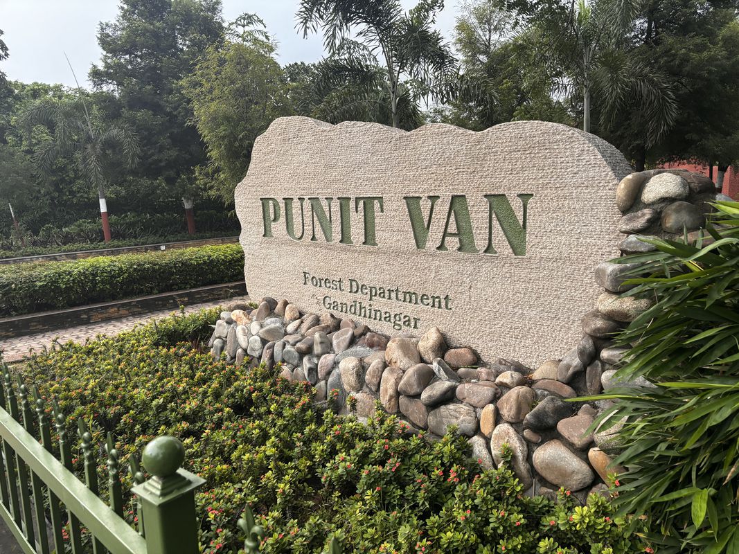 punit van