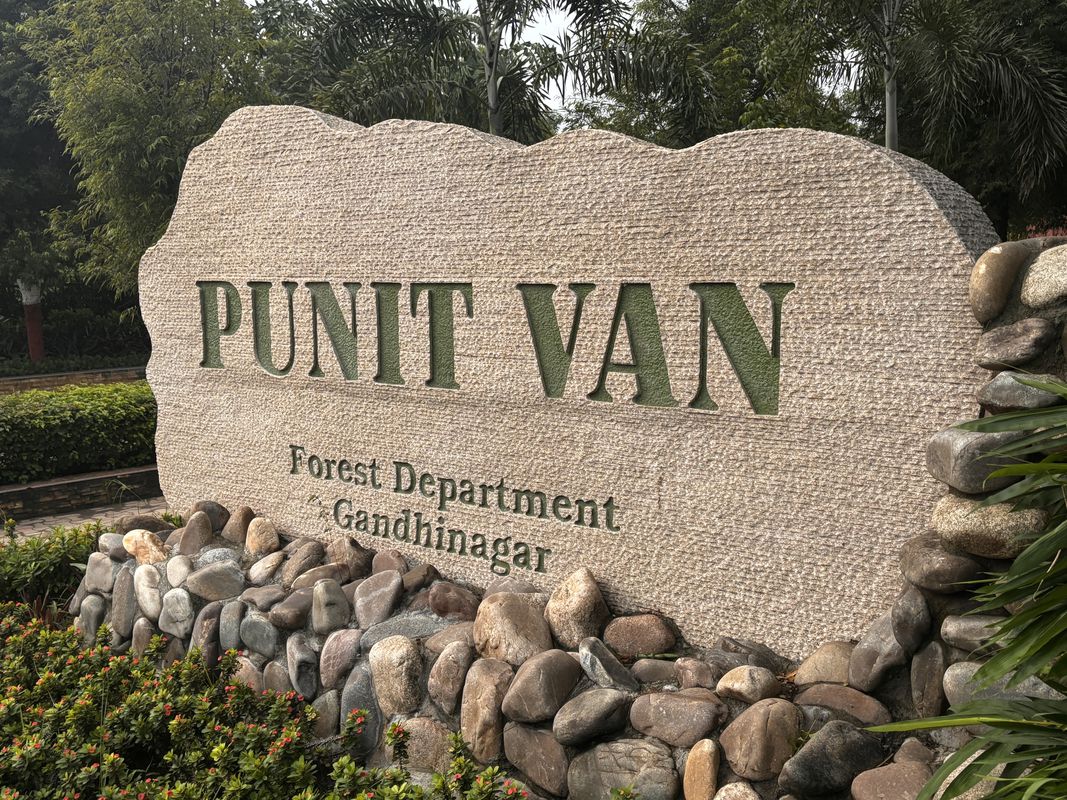 punit van
