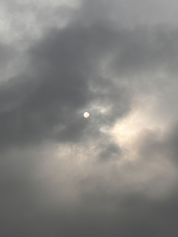 Sargasan, Gandhinagar to Sargasan, Gandhinagar