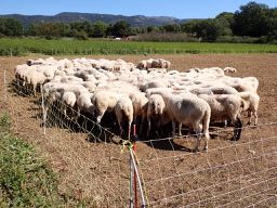 Sant Esteve de Palautordera to Taradell