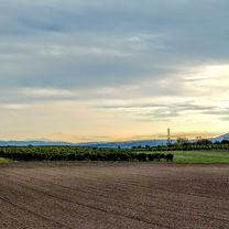 Herbstbeginn Runde Bisamberg