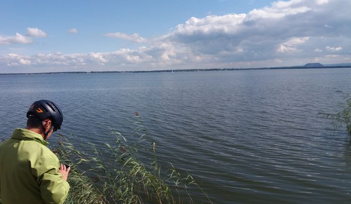 Foto 2 der Bikemap-Route "Fahrradtour zum und ums Steinhuder Meer 2024 (2-3🚲)"