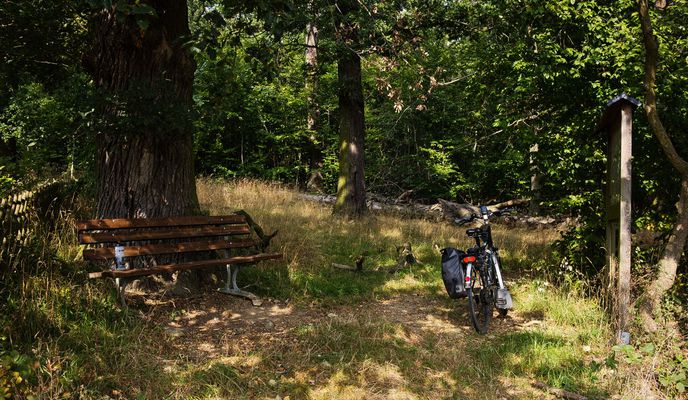 Photo 2 of the Bikemap route "Der Oderwald"