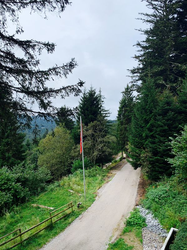 Baden-Baden nach Herrenwies 35, Forbach