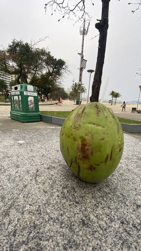 Rua Frei Gaspar, 1629, São Vicente a Bolsão Exclusivo de Acesso à Balsa, Santos
