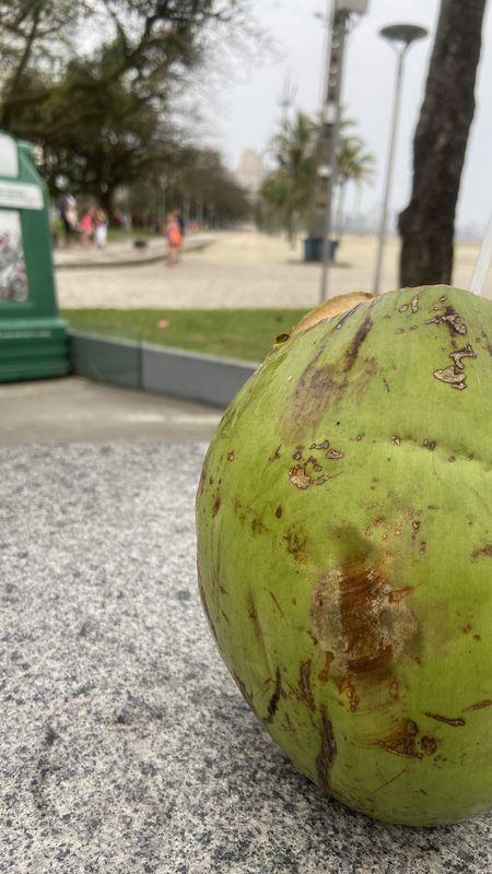 Rua Frei Gaspar, 1629, São Vicente a Bolsão Exclusivo de Acesso à Balsa, Santos