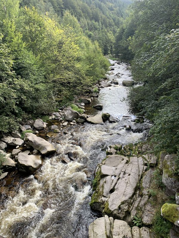 Herrenwies 35, Forbach nach Freudenstädter Straße 57, Loßburg