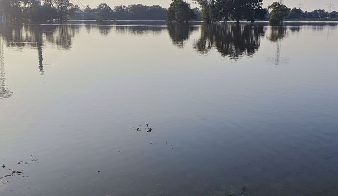 Photo 1 of the Bikemap route "Flensburger Straße 176, Dresden nach Flensburger Straße 174, Dresden" Photo 1 of the Bikemap route "Flensburger Straße 176, Dresden nach Flensburger Straße 174, Dresden"