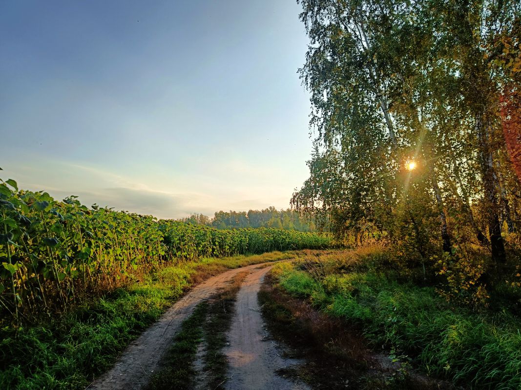 От улица Тенистая 28, Южноуральск до улица Тенистая 28, Южноуральск