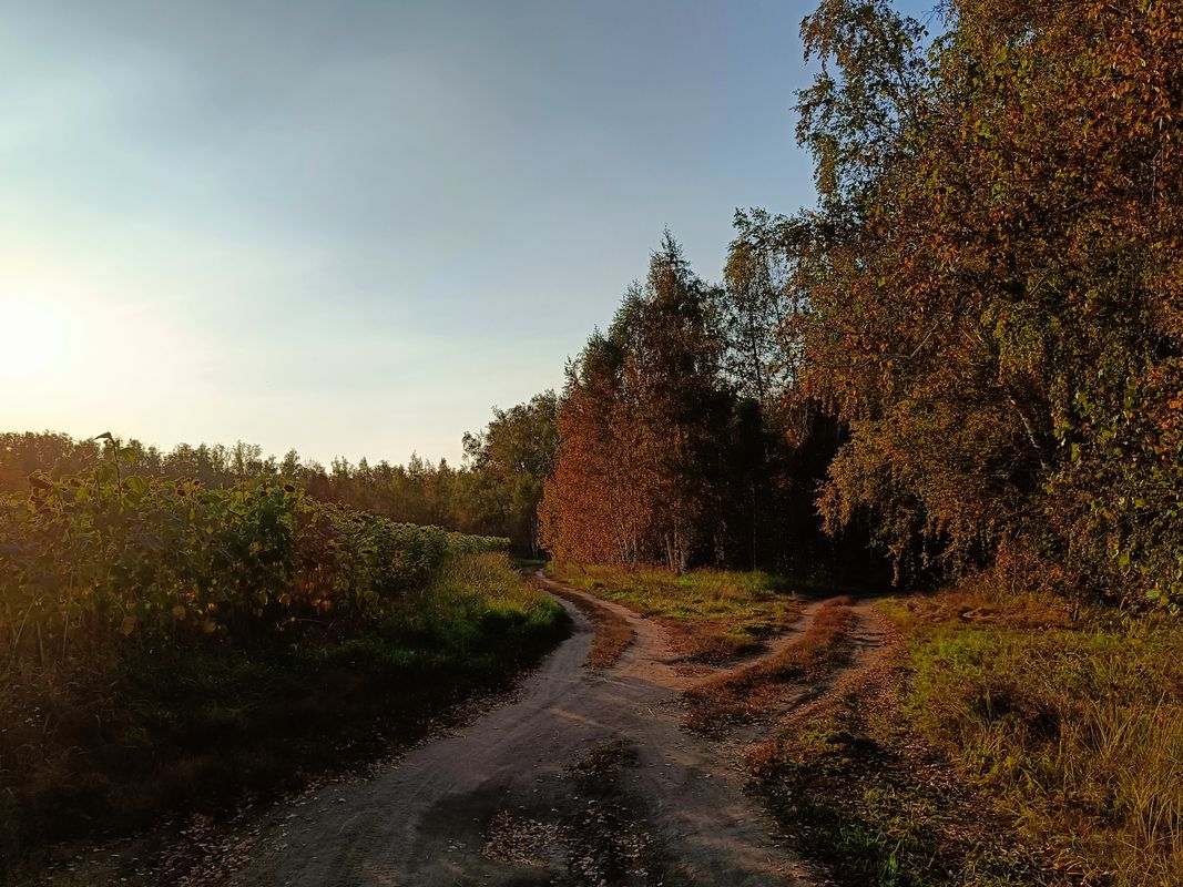 От улица Тенистая 28, Южноуральск до улица Тенистая 28, Южноуральск