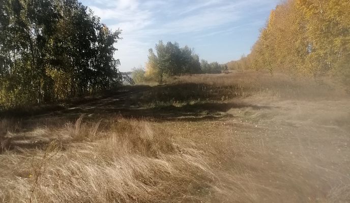 Foto 2 der Bikemap-Route "От Первомайский переулок 11, Любино-малороссы (любинский) до Московская улица 9, Любино-малороссы (любинский)"