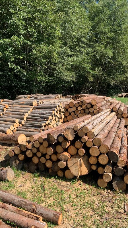 Recorded via Apple Watch on 20 Sep at 13:30