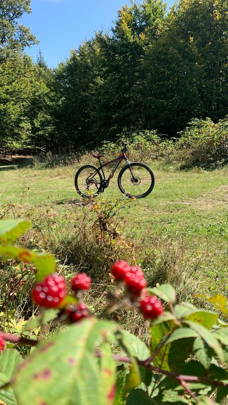 Recorded via Apple Watch on 20 Sep at 13:30