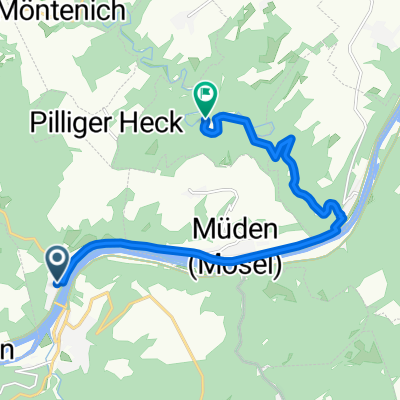 Burg Eltz