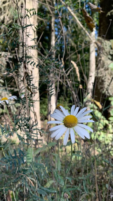 Recorded via Apple Watch on 21 Sep at 12:24