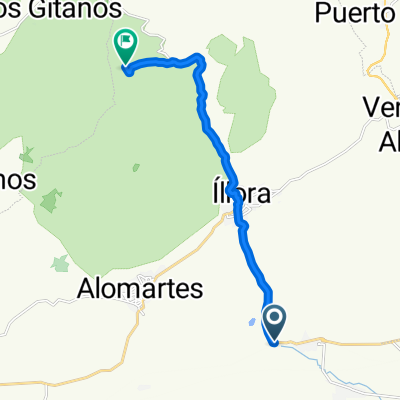 PARAPANDA, por Illora