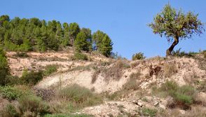 Montblanc to Igualada