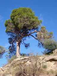 Igualada to Manresa