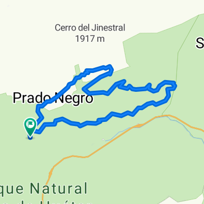 PRADO NEGRO