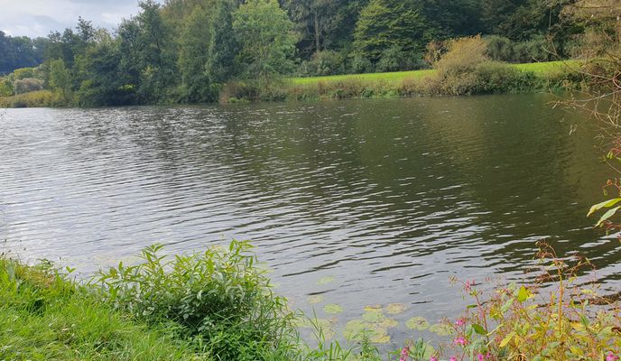 Photo 1 of the Bikemap route "lahntal feudingen-koblenz"