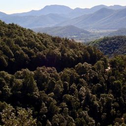 Olot to Camprodon