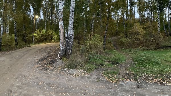 Photo 2: Дмитрий Осенков