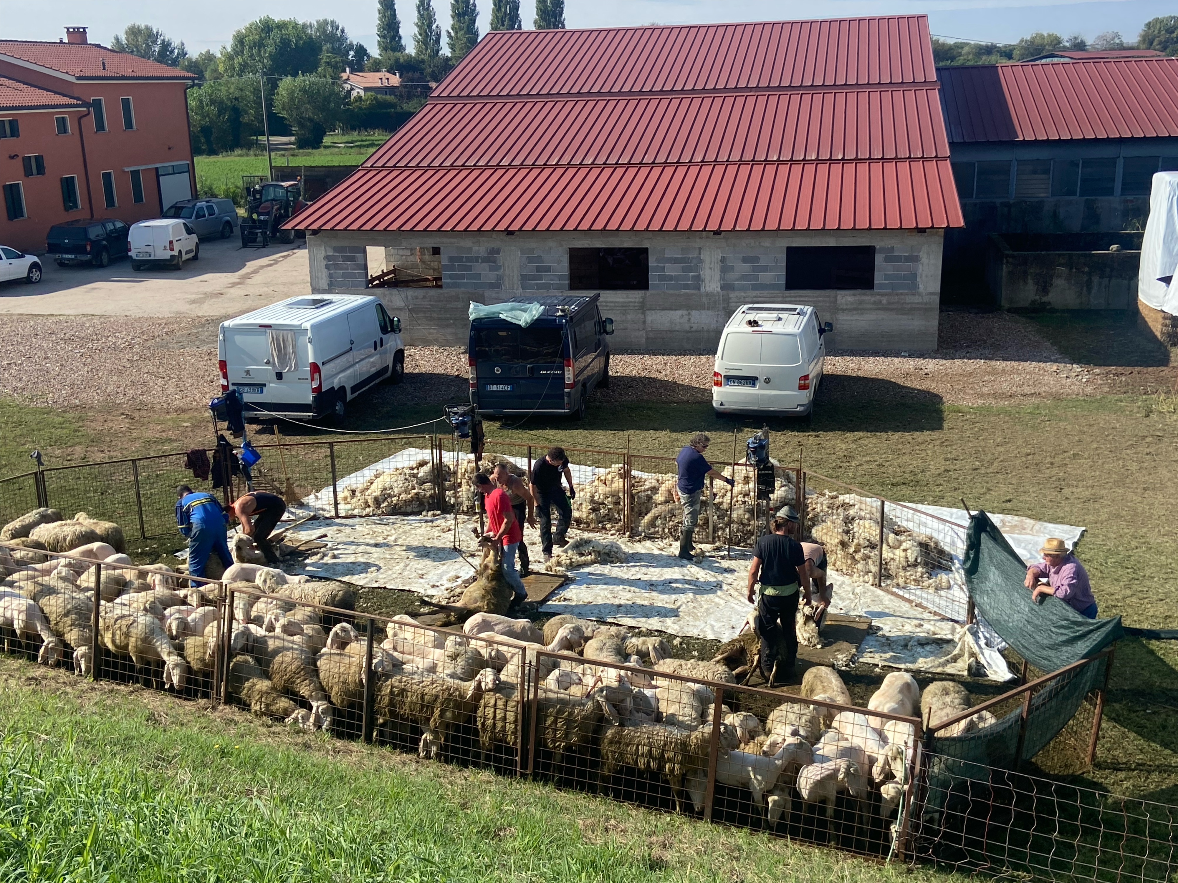 partenza dal Castello del Catajo giro dei colli euganei