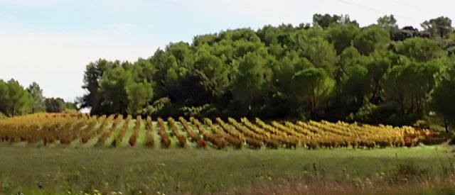 Sommières - Circle to Calvisson