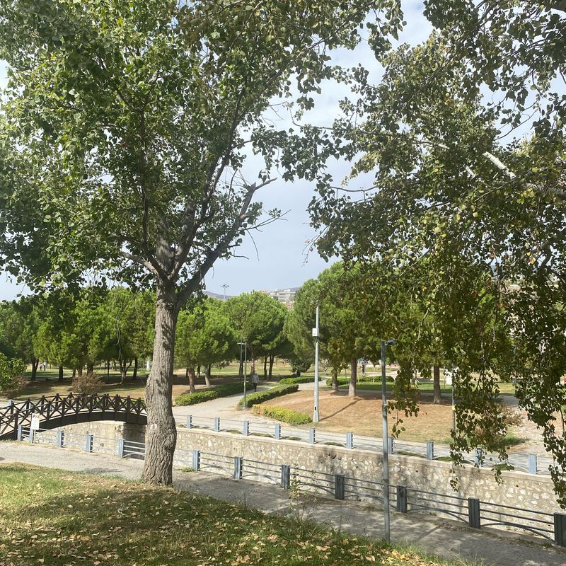 Bornova Aşık Veysel