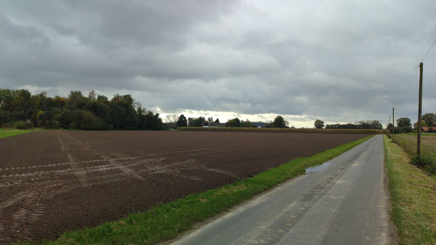 Liesborner Straße 128, Langenberg nach Im Edelkamp 8, Rheda-Wiedenbrück