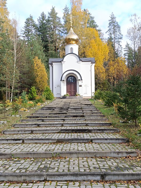 Зеленогорская 40